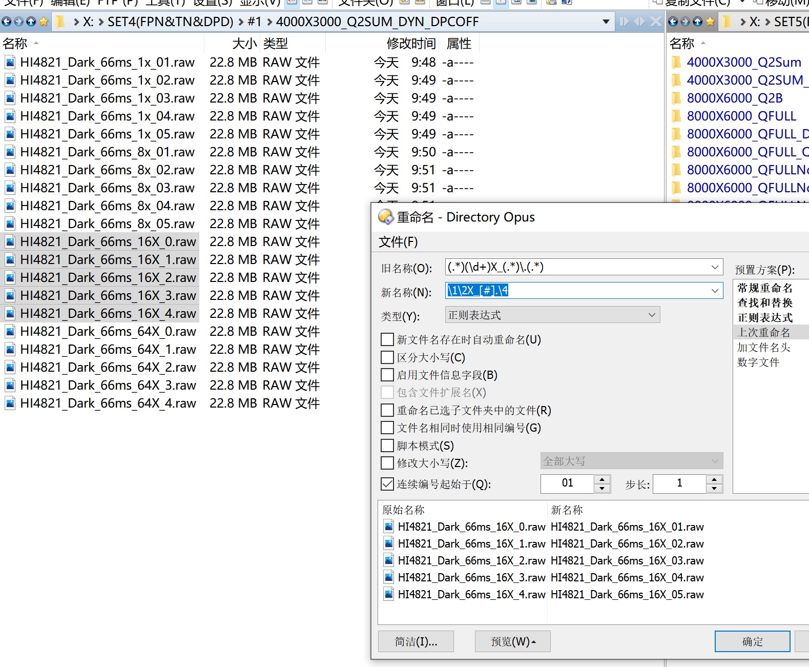 图片[4]-Directory Opus 正则表达式重命名实际操作-今天我都干啥了