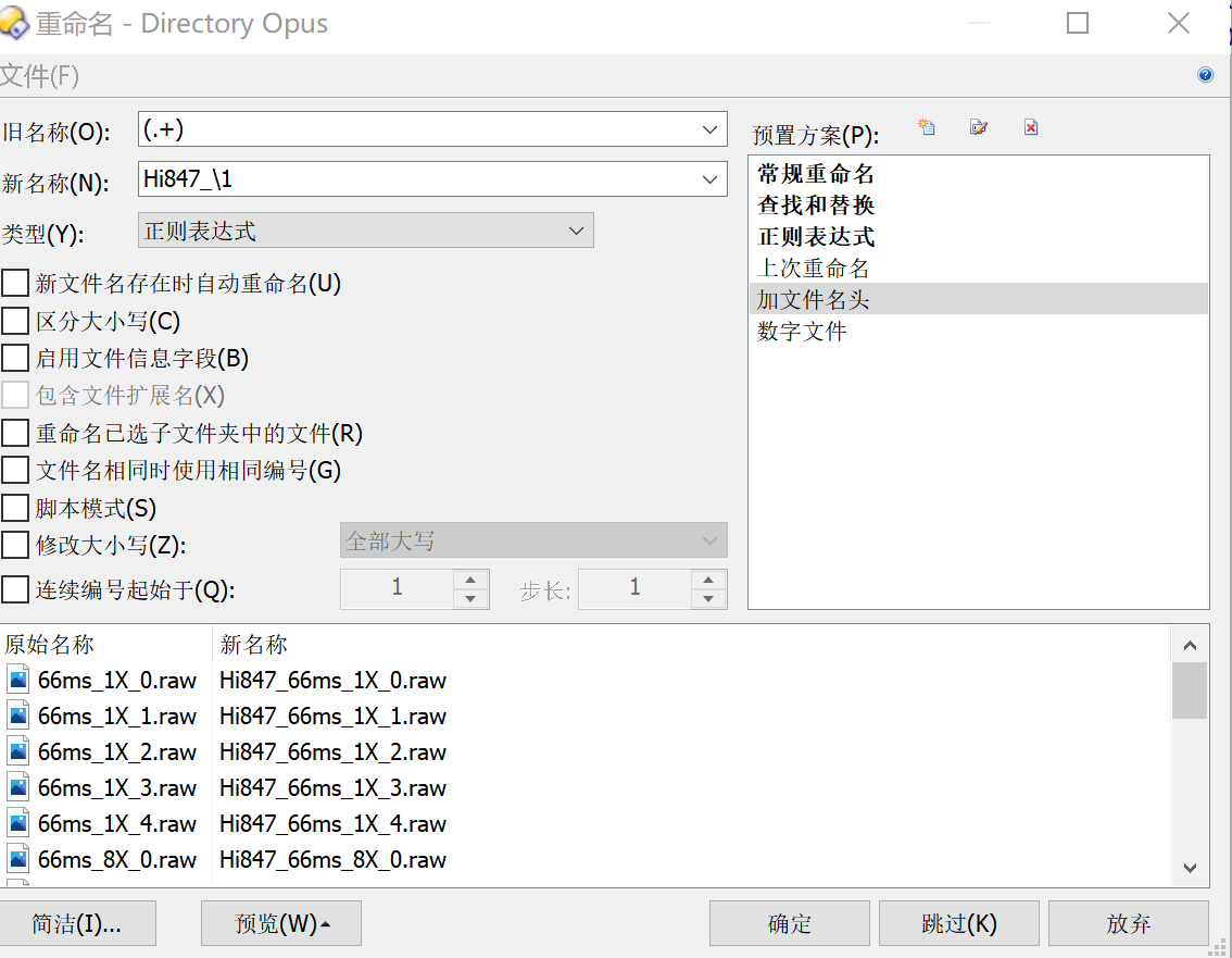 Directory Opus 正则表达式重命名实际操作-今天我都干啥了